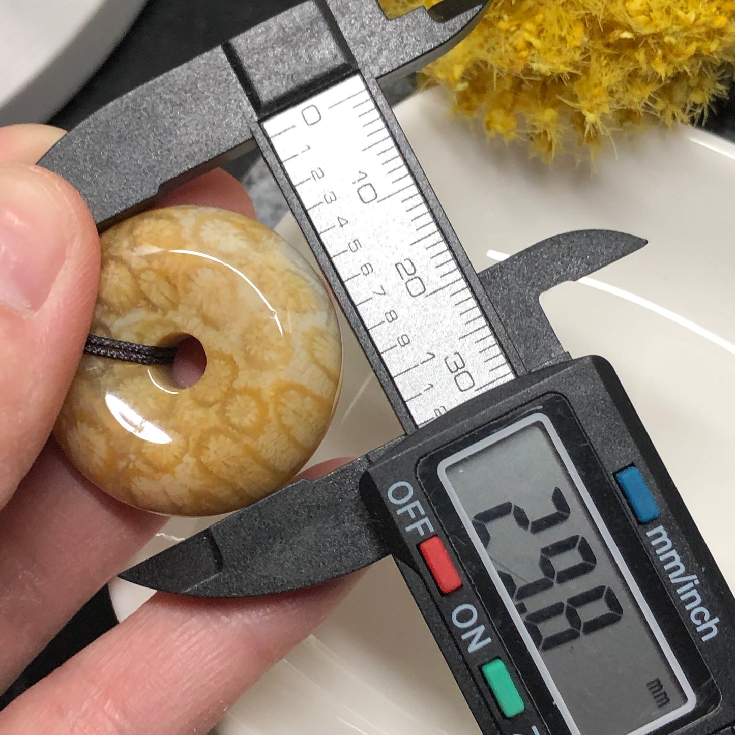 NEW Yellow Brown Fossil Coral Pendant with Neck Rope Tie FC603 RARE Last One!!