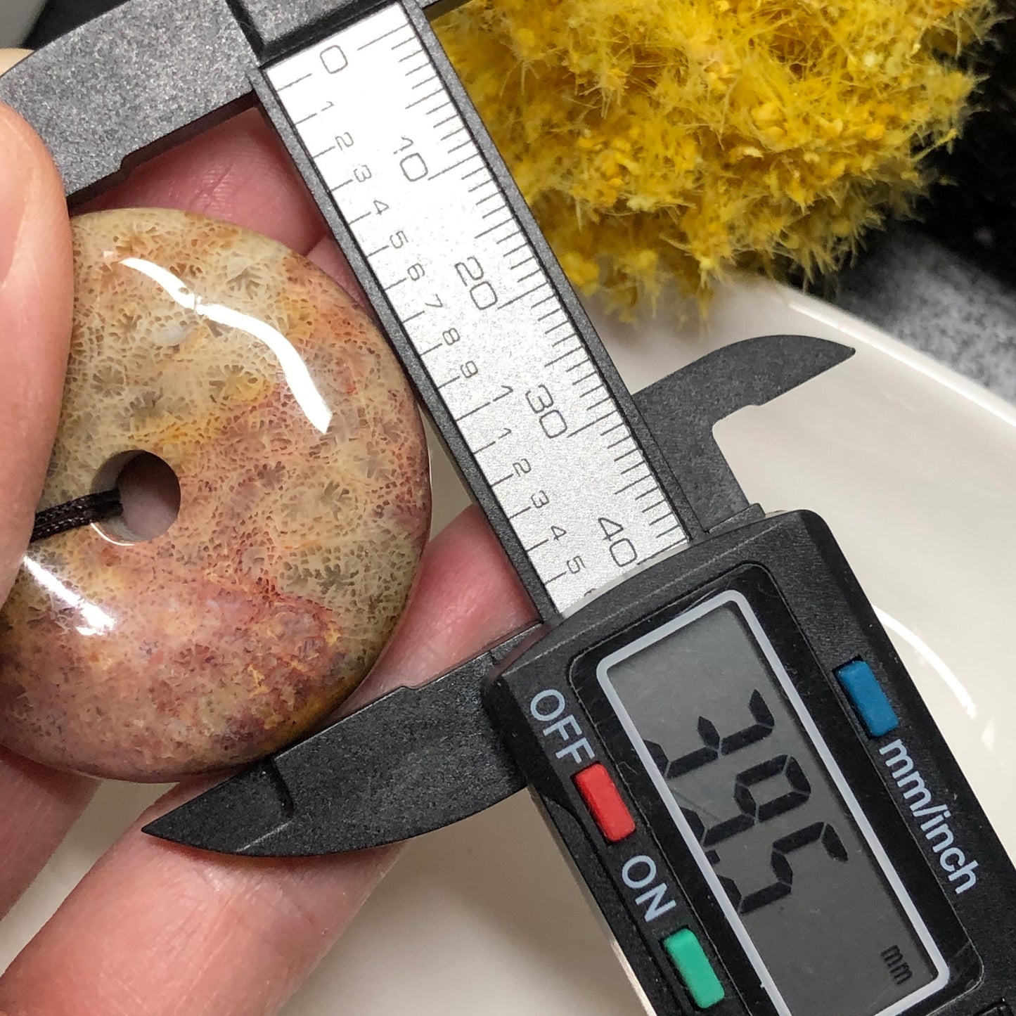 NEW Red Yellow Fossil Coral Pendant with Neck Rope Tie FC608 RARE Last One!!