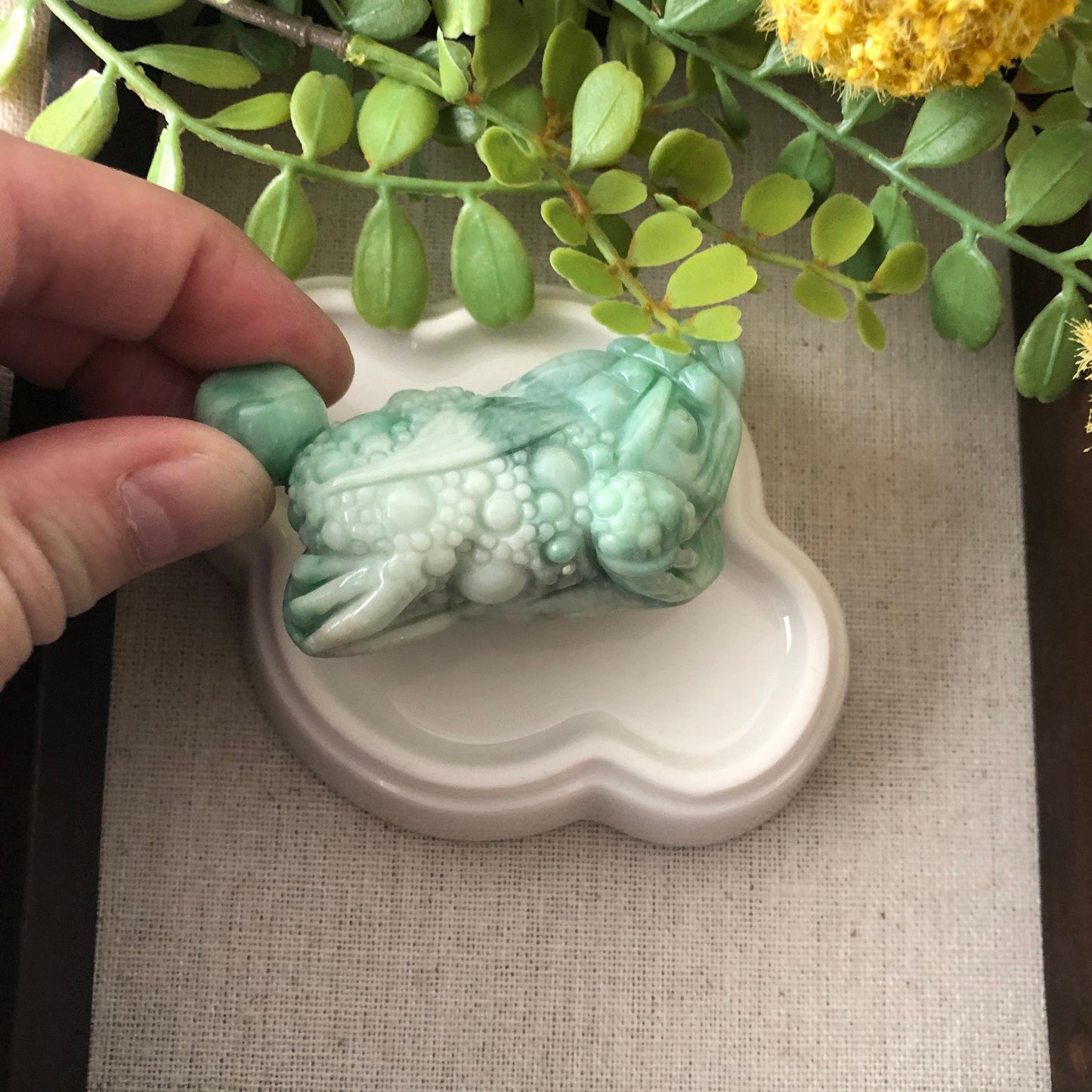 Grade A Earthy Green Carved 3 Legged Toad Jadeite Jade Display Figurine with Wood Stand