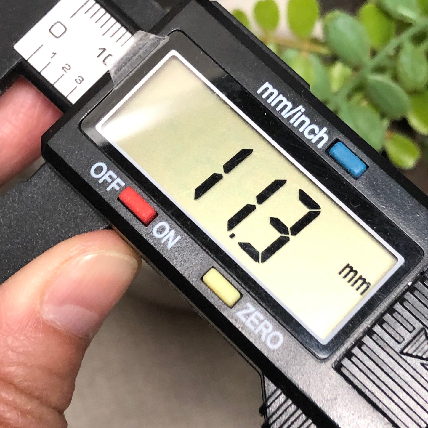 55-57mm Earthy Lavender Green Float Flowers Jadeite Jade Bangle