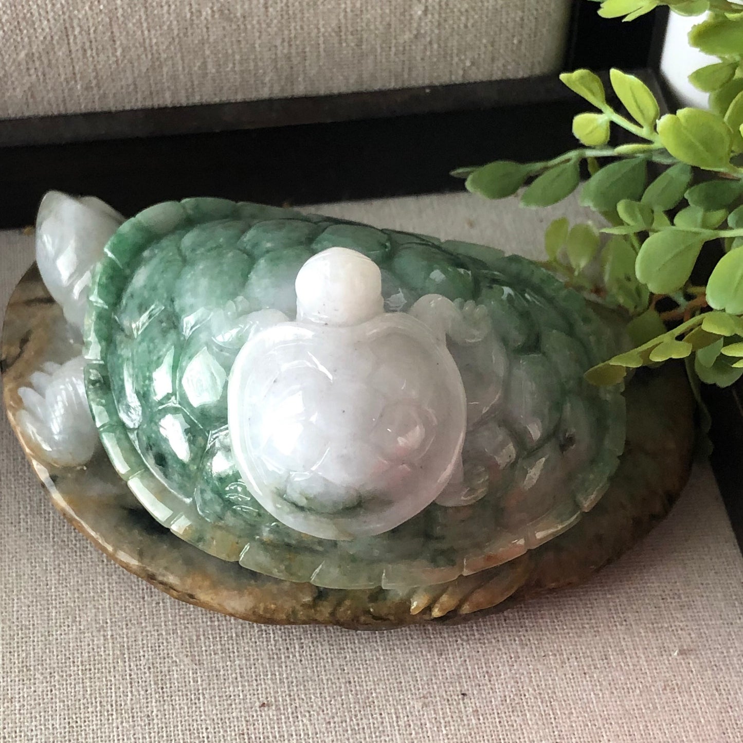 116 mm Jadeite Jade Green Brown Carved Turtle Baby Display