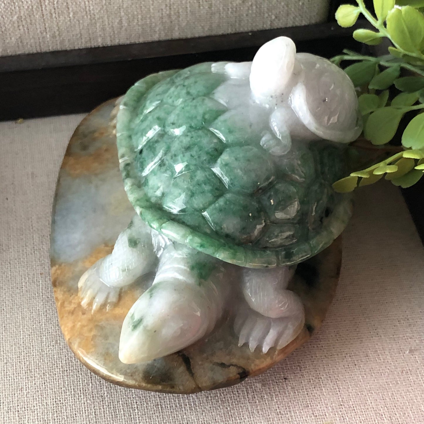 116 mm Jadeite Jade Green Brown Carved Turtle Baby Display