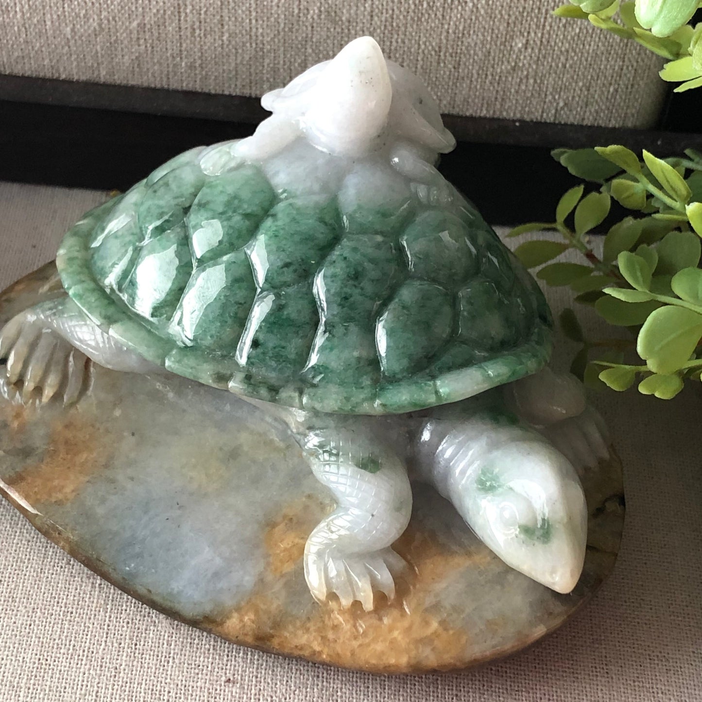 116 mm Jadeite Jade Green Brown Carved Turtle Baby Display