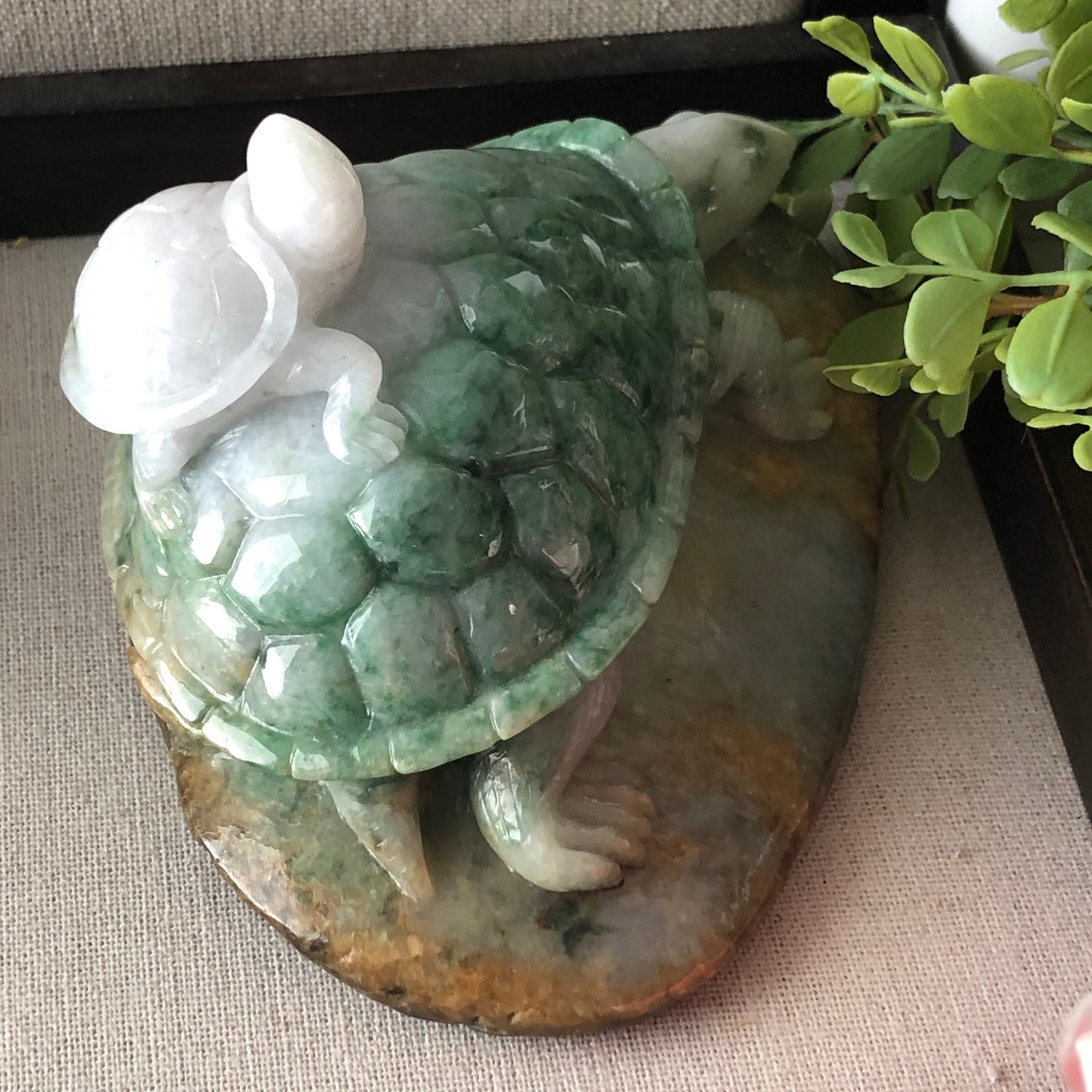 116 mm Jadeite Jade Green Brown Carved Turtle Baby Display