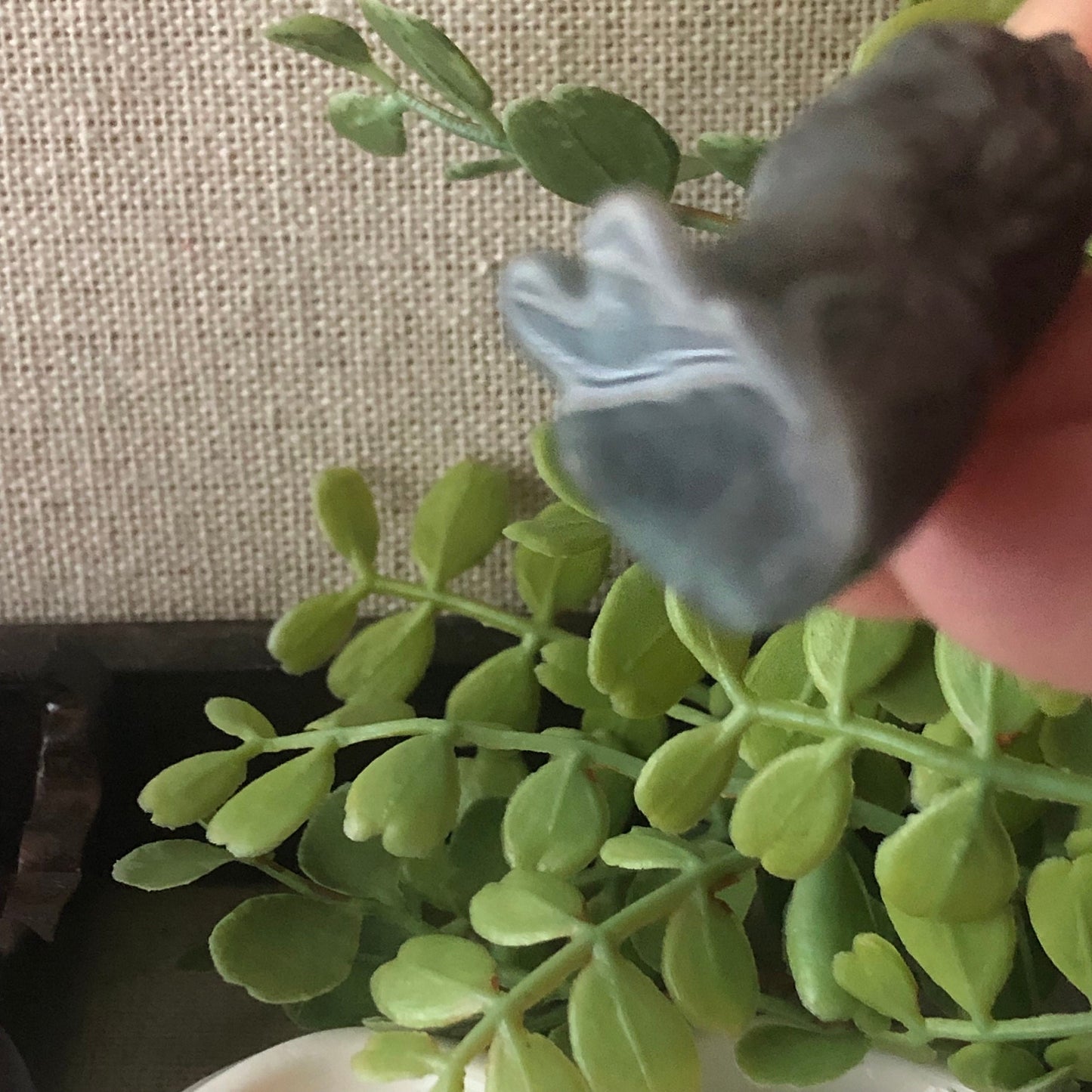 29.6mm Icy Jadeite Jade Carved Wuji Grey Lion Pendant Last One!