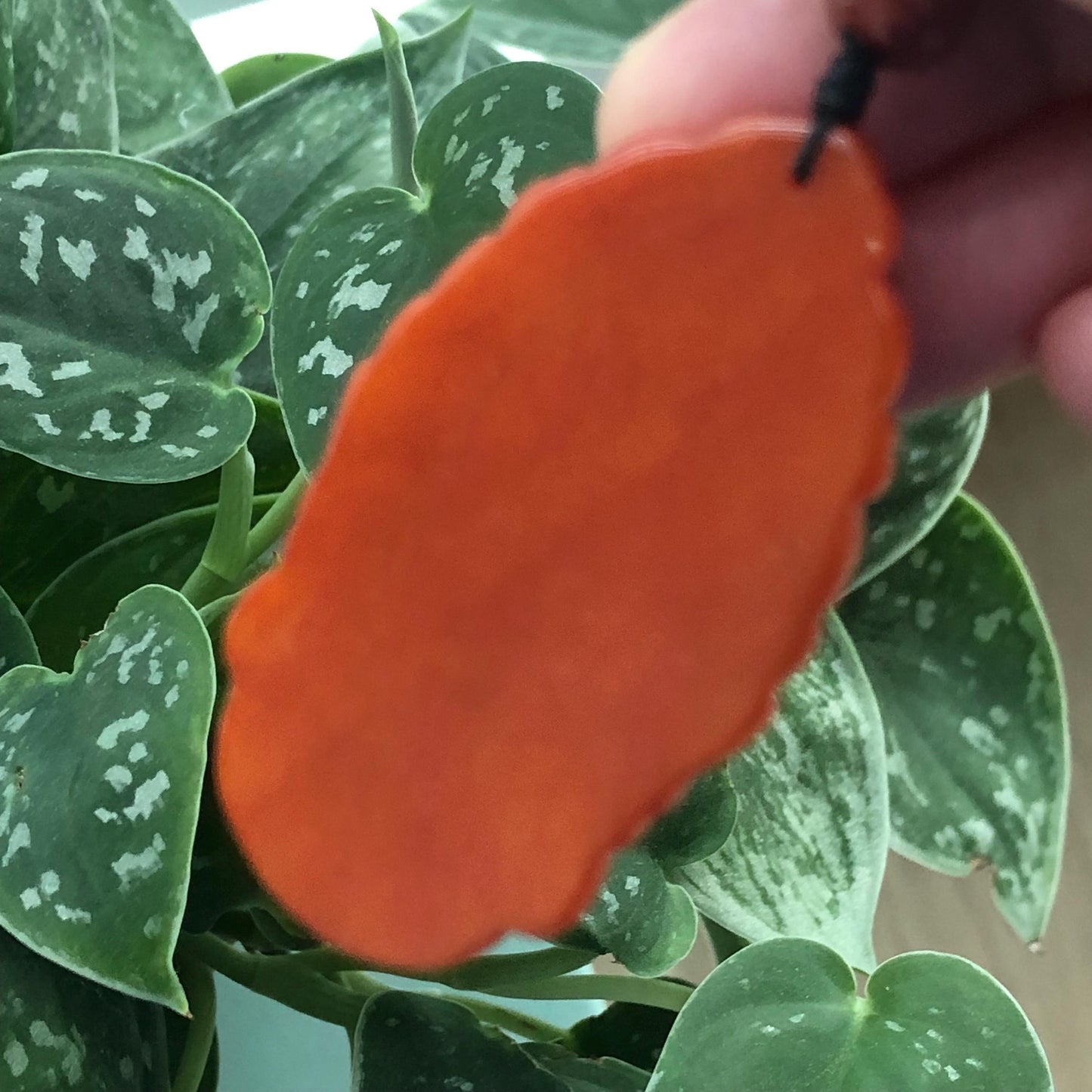 55 mm Glossy Red Brown Jadeite Jade Carved Guanyin Head Pendant