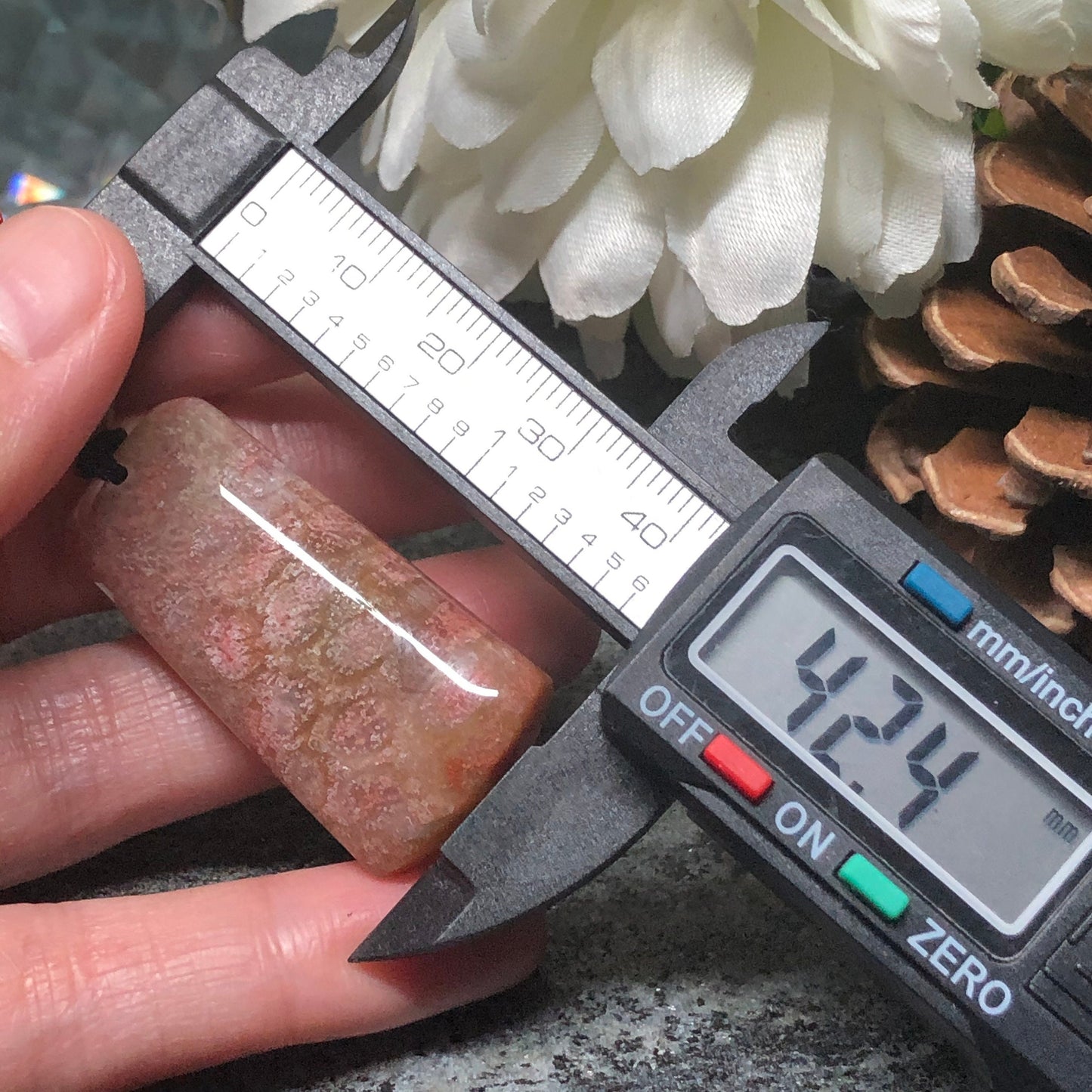 NEW Floral Brown Red Fossil Coral Pendant with Neck Rope Tie FC701 RARE Last One!!