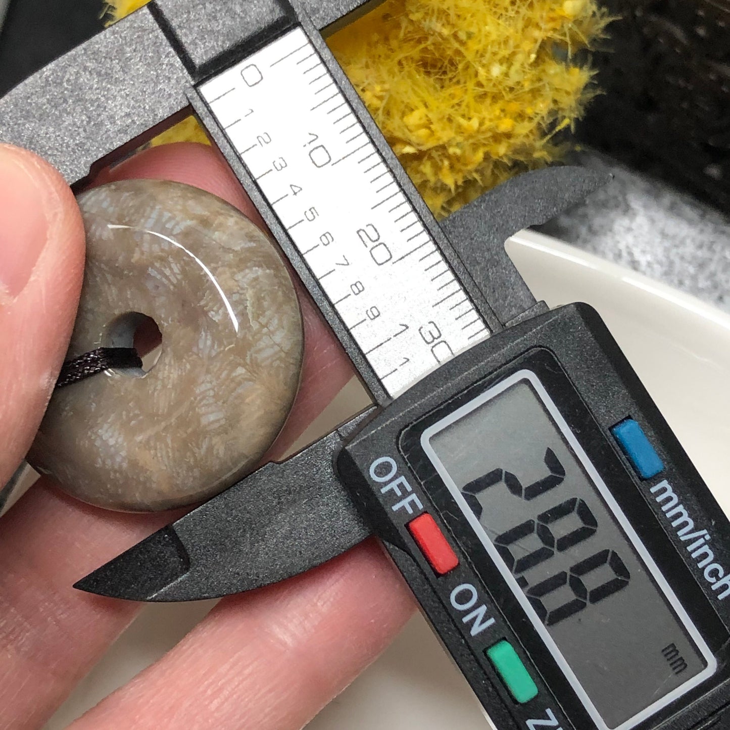 NEW Yellow Brown Fossil Coral Pendant with Neck Rope Tie FC600 RARE Last One!!