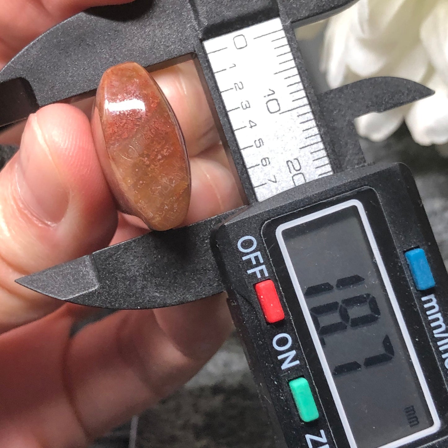 NEW Floral Brown Red Fossil Coral Pendant with Neck Rope Tie FC701 RARE Last One!!