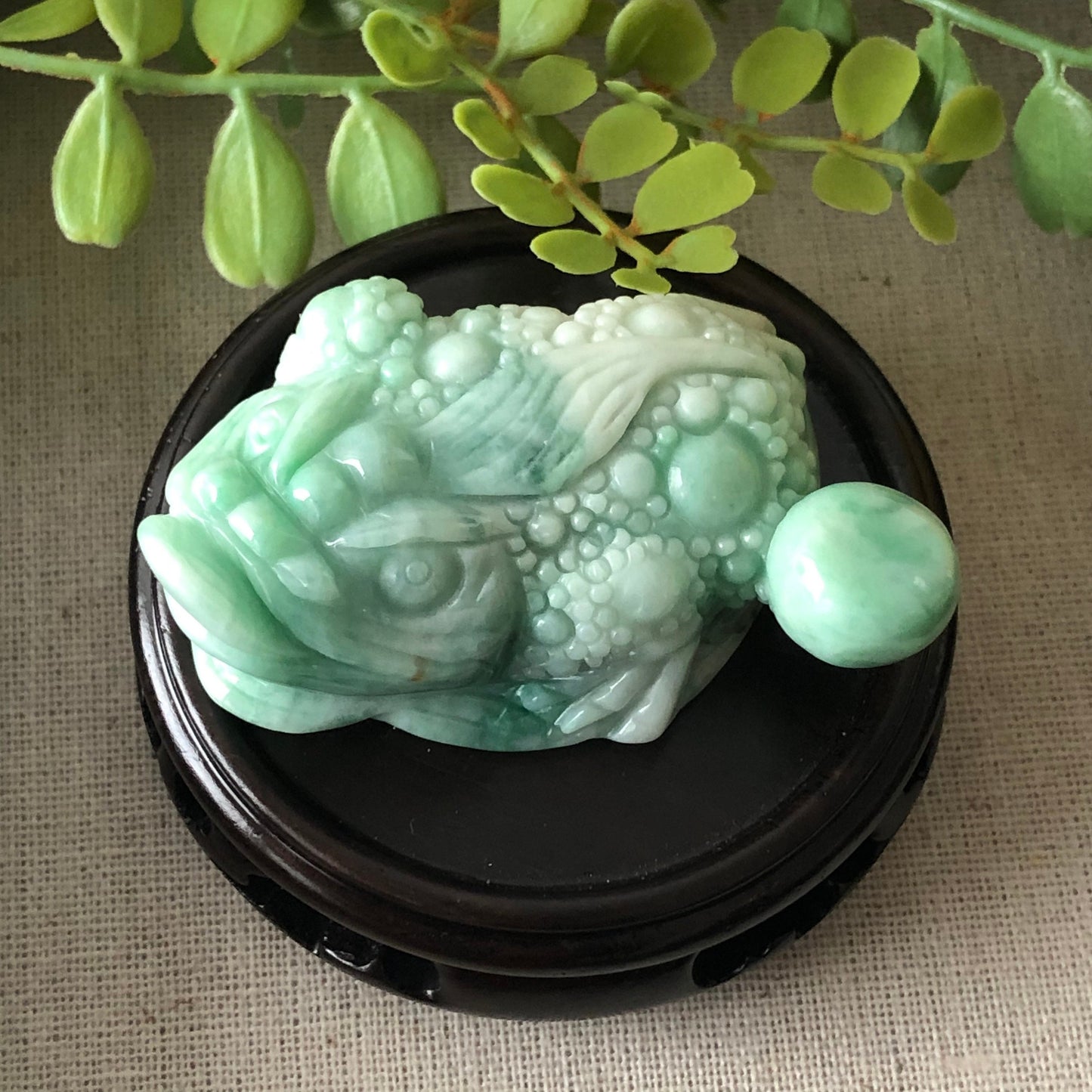 Grade A Earthy Green Carved 3 Legged Toad Jadeite Jade Display Figurine with Wood Stand