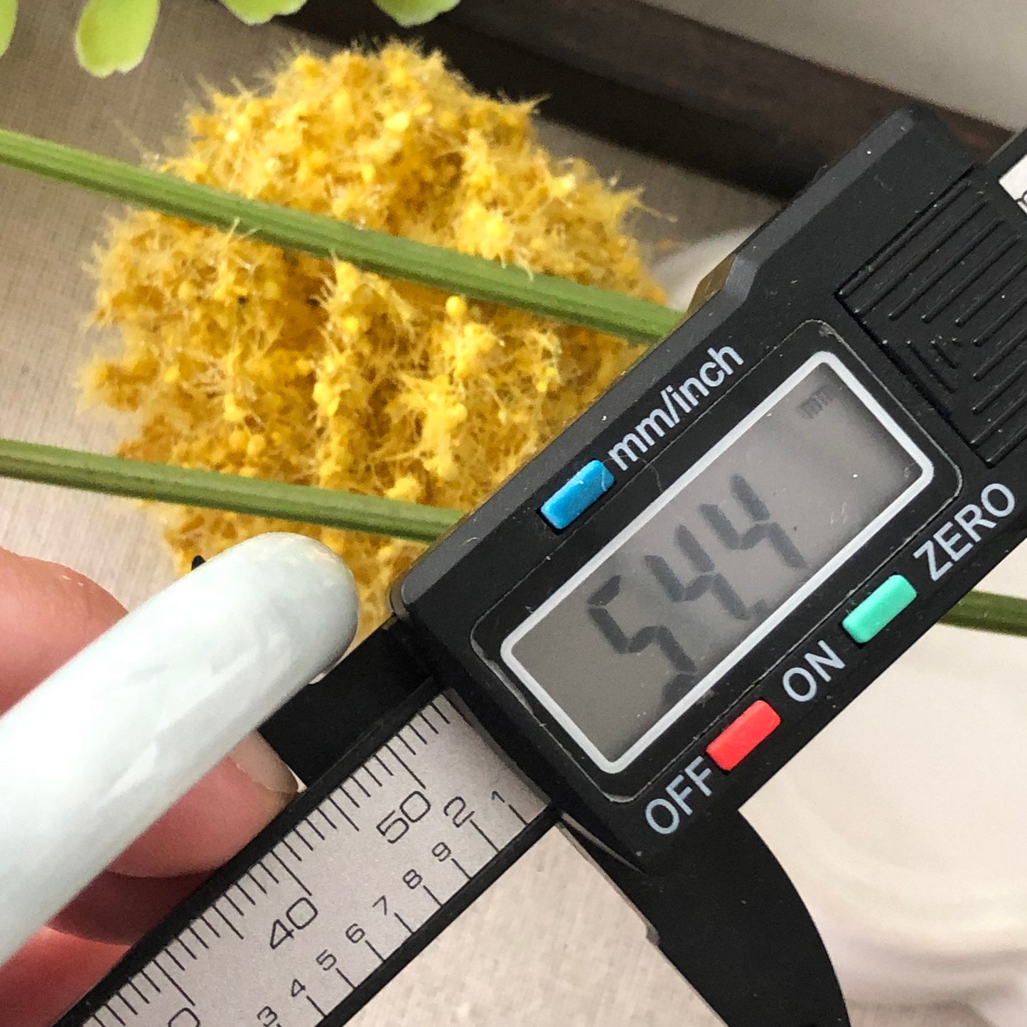 54.4 mm Jadeite Jade Tint Blue floating flowers Bangle