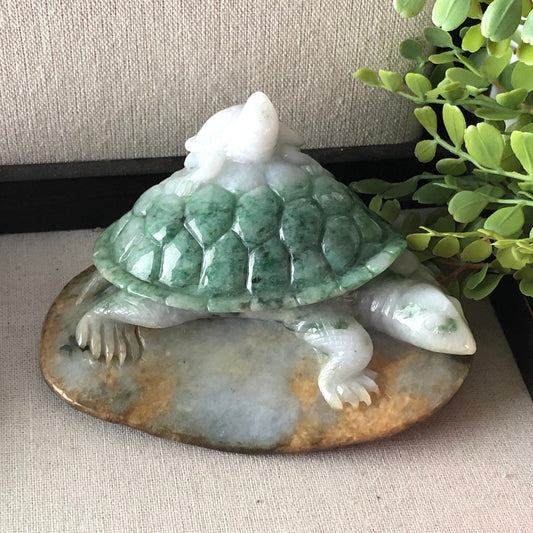 116 mm Jadeite Jade Green Brown Carved Turtle Baby Display