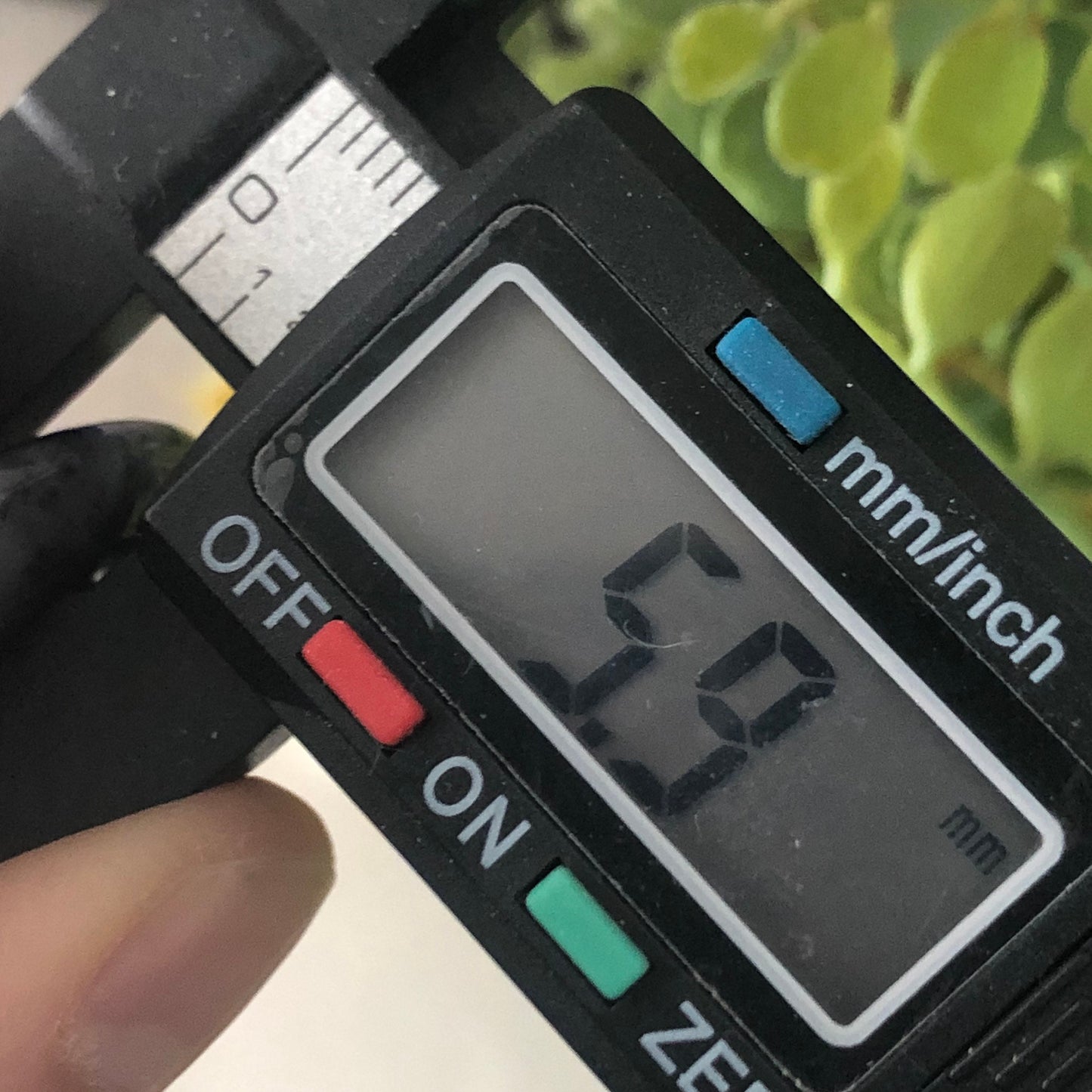 37.6mm Jadeite Jade Wuji Black Grey Peace Donut Pendant Neck Rope Tie