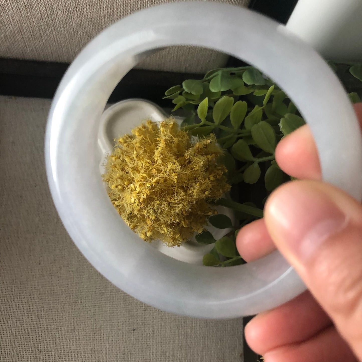 8fdafe6d-dc5f-4bda-bcc1-68d13f42b369