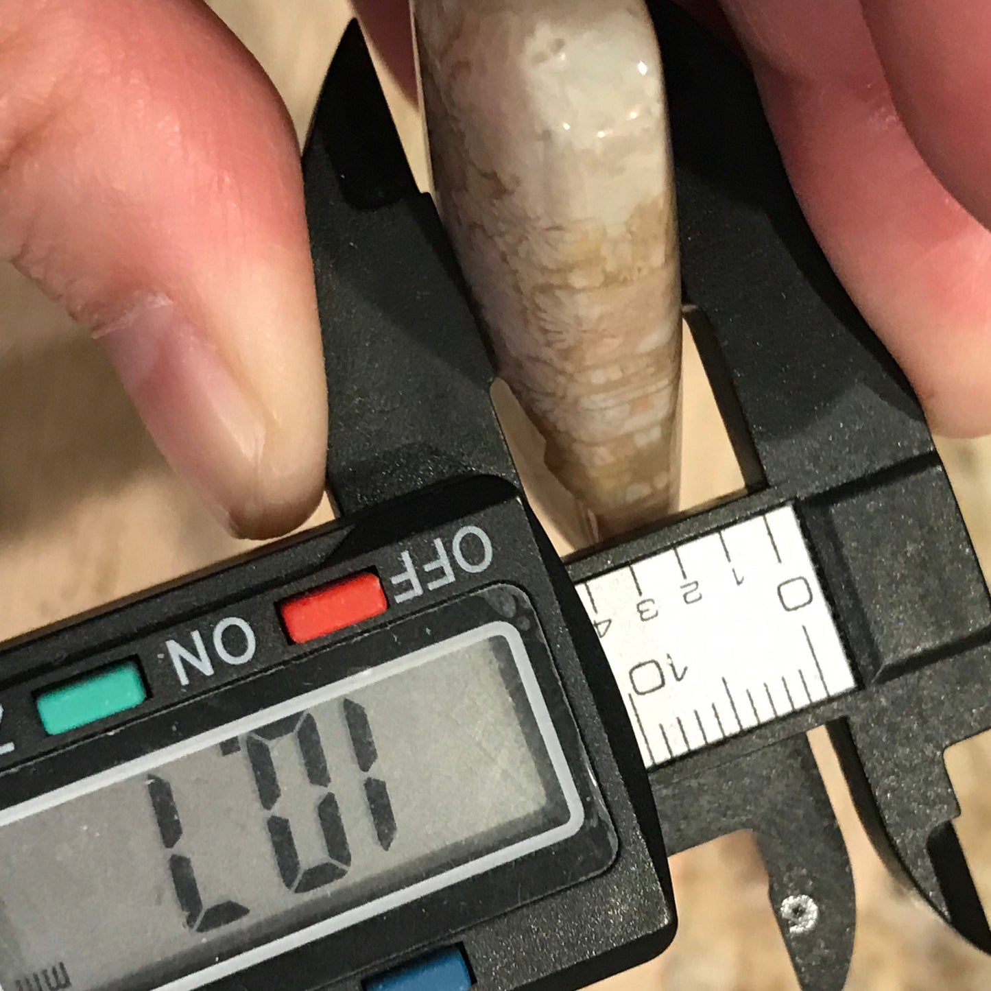 38.7mm Beige Pink Fossil Coral Pendant with Neck Rope Tie BC003