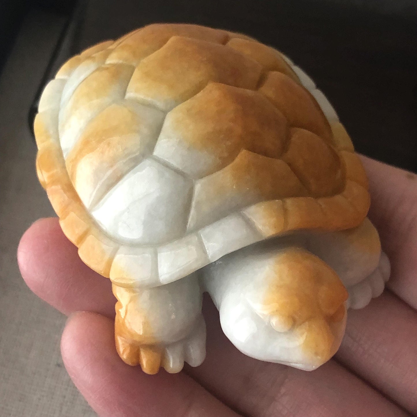 67.5mm Yellow Brown Jadeite Jade Carved Turtle Display Statue