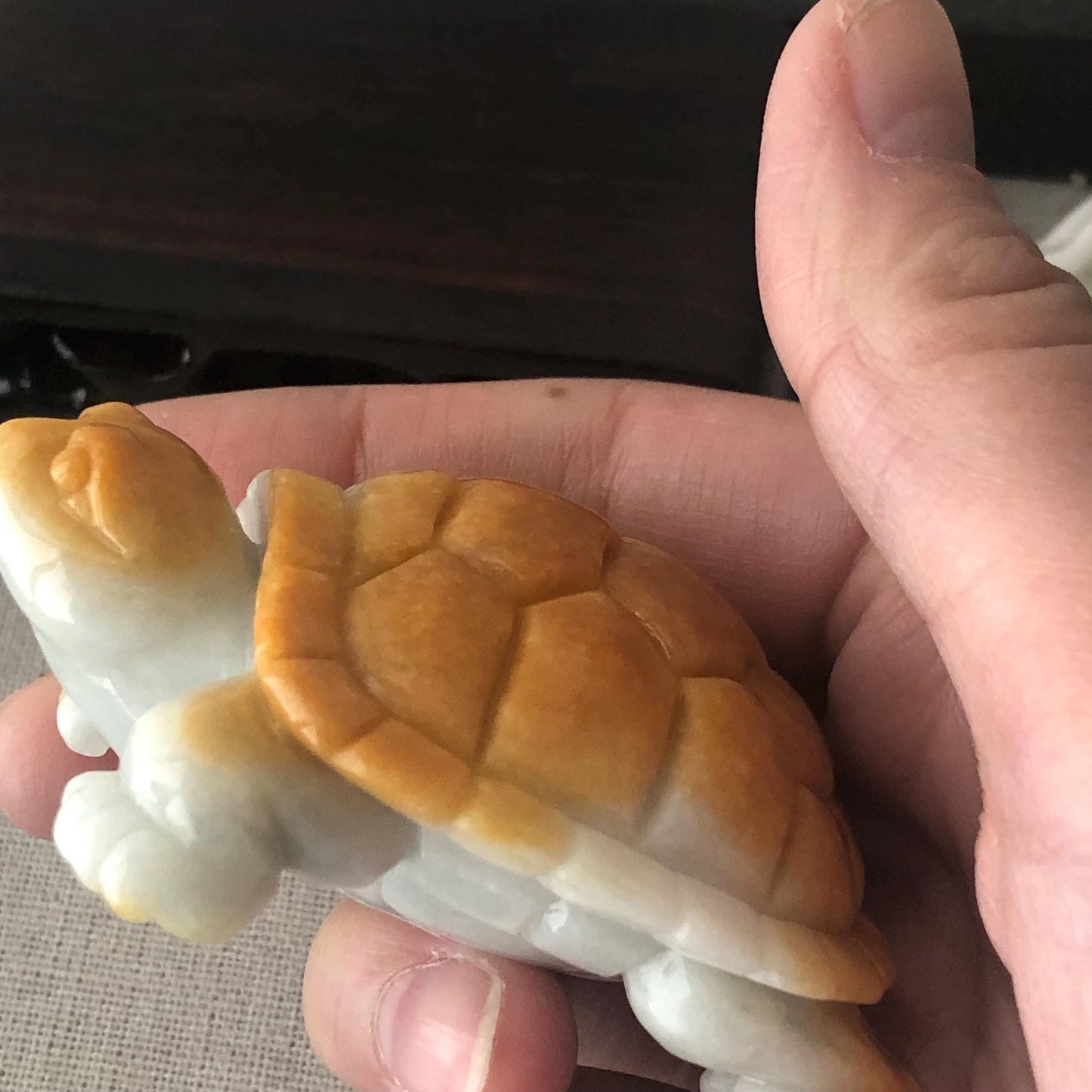 67.5mm Yellow Brown Jadeite Jade Carved Turtle Display Statue