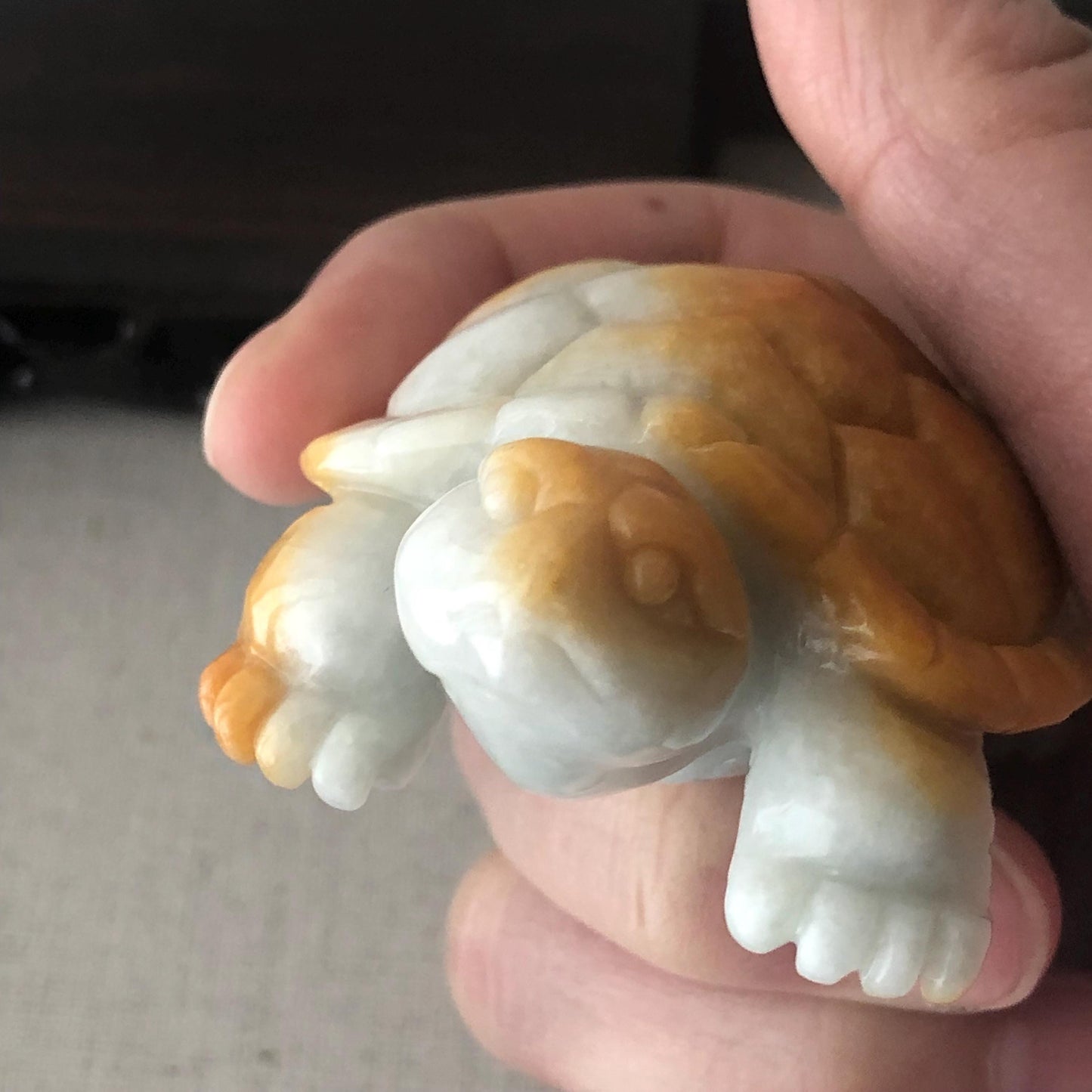 67.5mm Yellow Brown Jadeite Jade Carved Turtle Display Statue